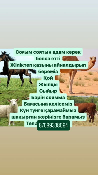 Животные сельхоз