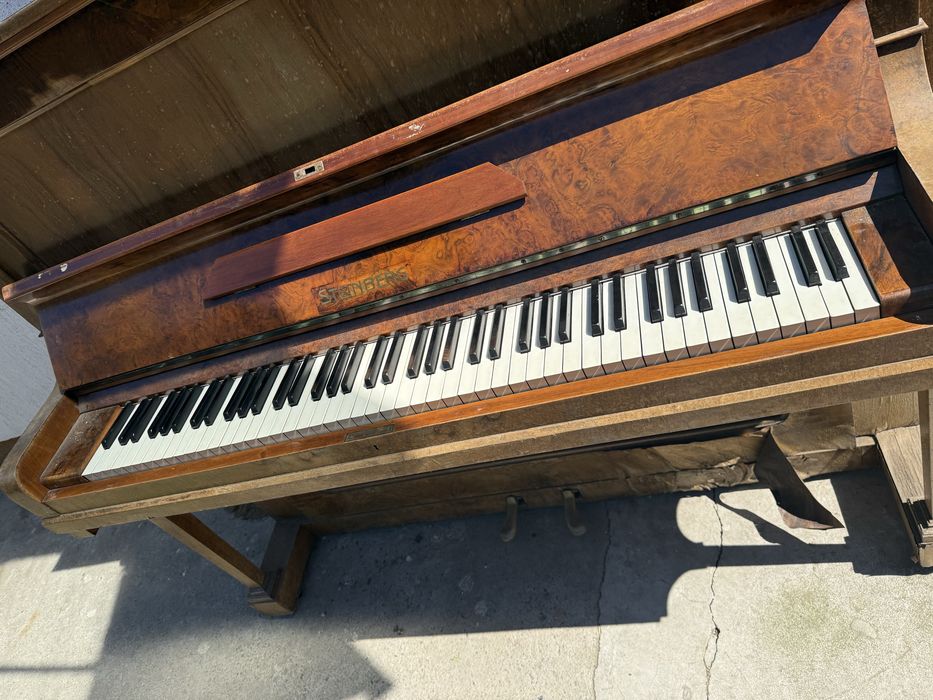 Pianina Steinberg