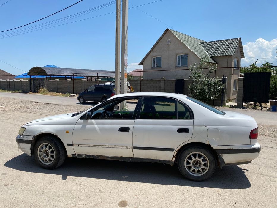 Карина е продам 1993