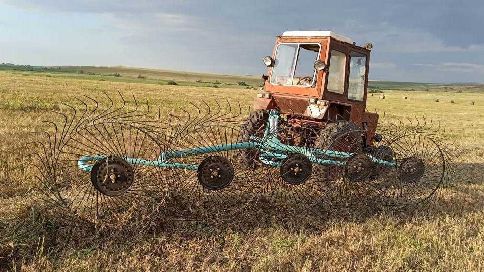 грабли ворошилки 5 колес навесные