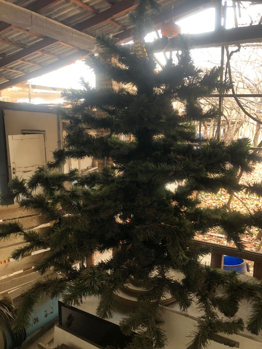 Елка  исскуственная б/у в хорошем состоянии