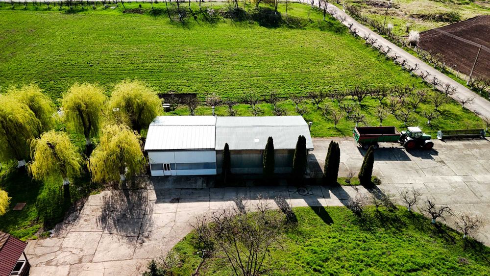 SE VINDE SAU SE INCHIRIAZA teren cu constructii Ludus