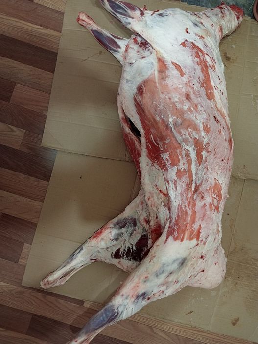 Мясо баранина...