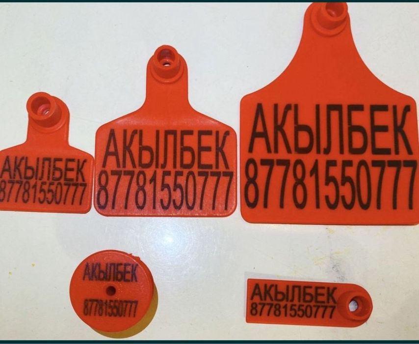 Ушные бирки Малға сырға