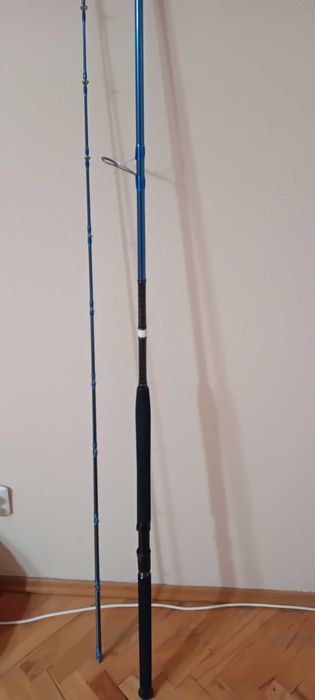 Savage gear SGS2 30-100 Shore jigging