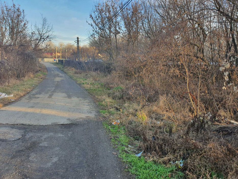 Teren intrav. si extrav. cu padure - pret 2,45 euro/mp - NEGOCIABIL