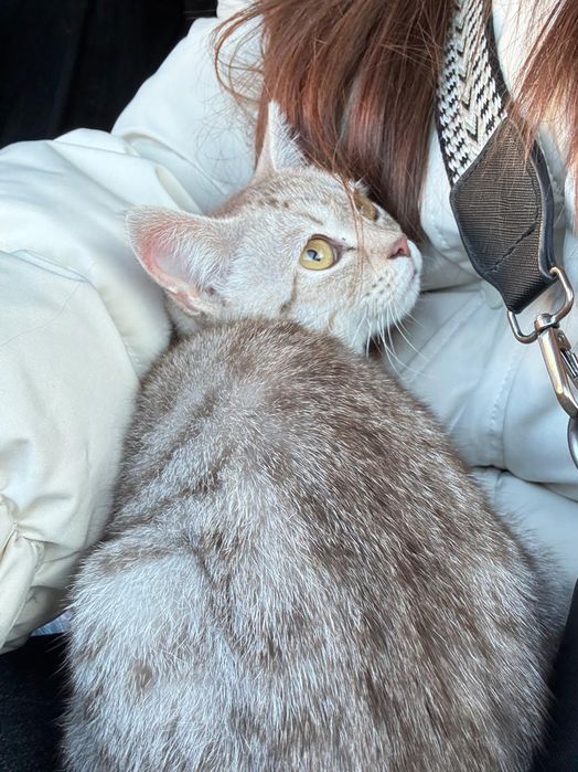 Срочно нужен дом