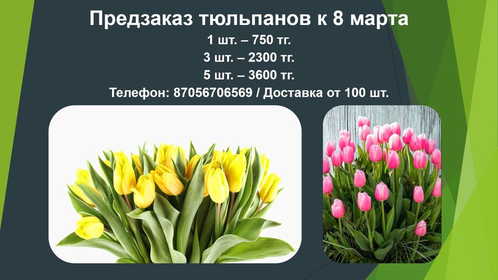 Продажа тульпанов