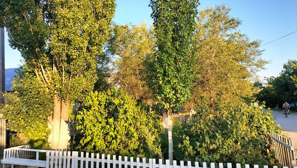 Ассалаумағалейкүм!!!