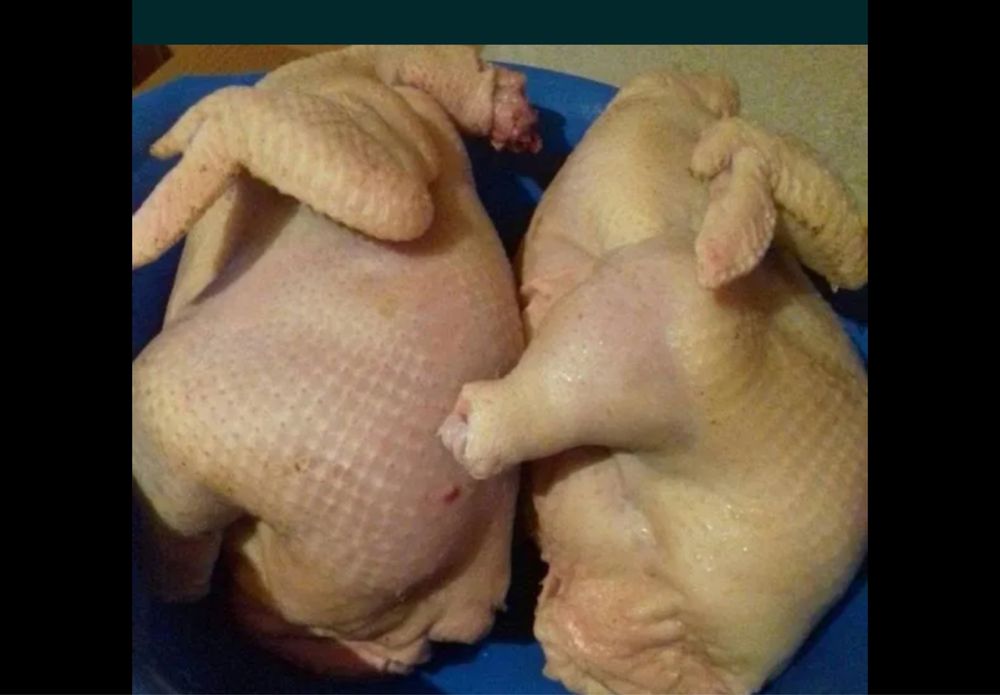 Домашние бройлеры