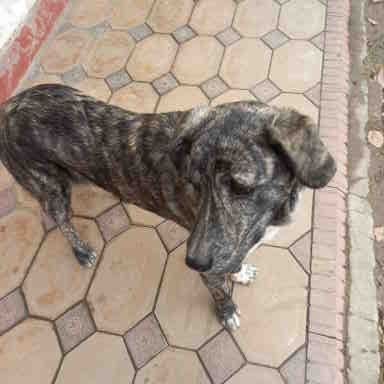 Малыш ищет дом и семью!