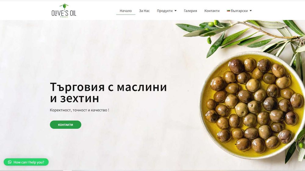 Професионален уебсайт на WordPress