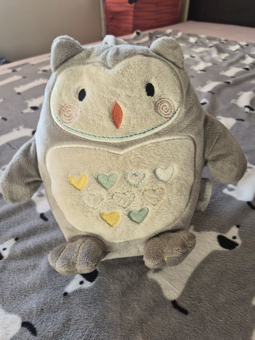 Бухалче Оли ( Ollie the Owl)