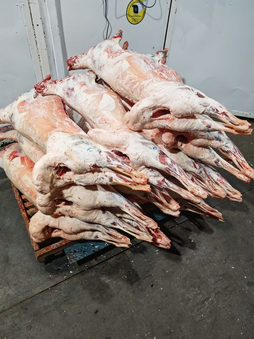 Мясо говядины говяжи