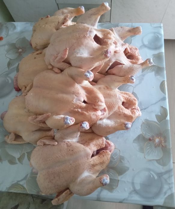 Продаю тушки домашние бролеров
