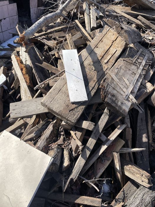 Бесплатные дерево