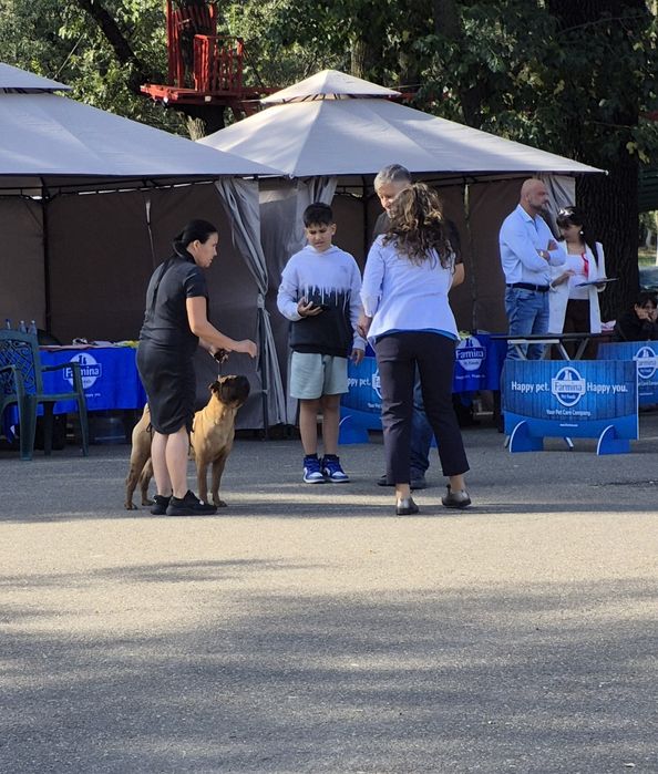 Fetita cu pedigree din părinți campioni