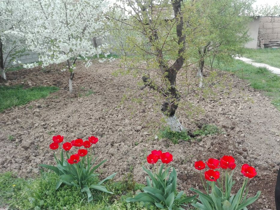 Продается дом 5 комнат