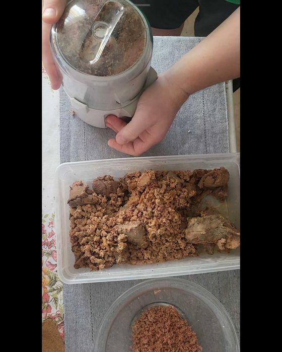 Blender si Tocator 2in1