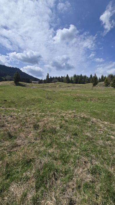 Teren de vanzare Colibița
