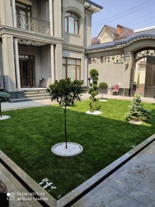 Газон: рулонный и посевной, ландшафтный дизайн, деревья и растения