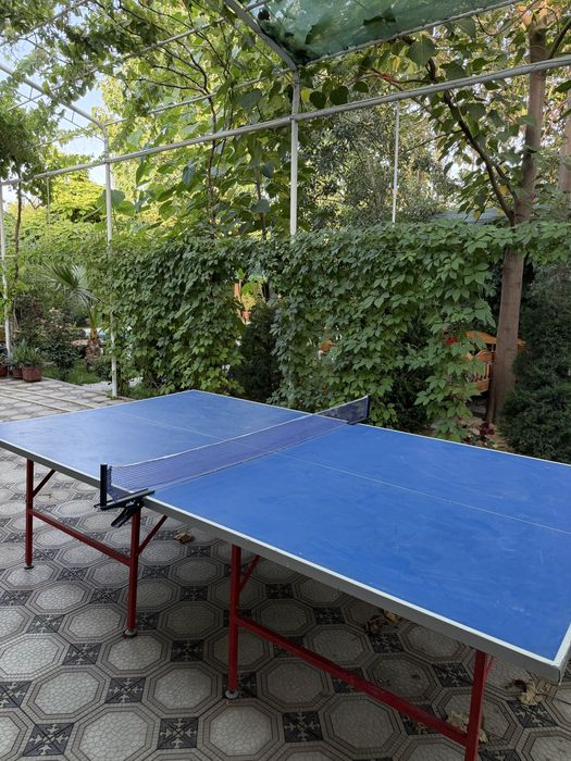 Samarkand dacha arenda, Samarkand dacha arenda,