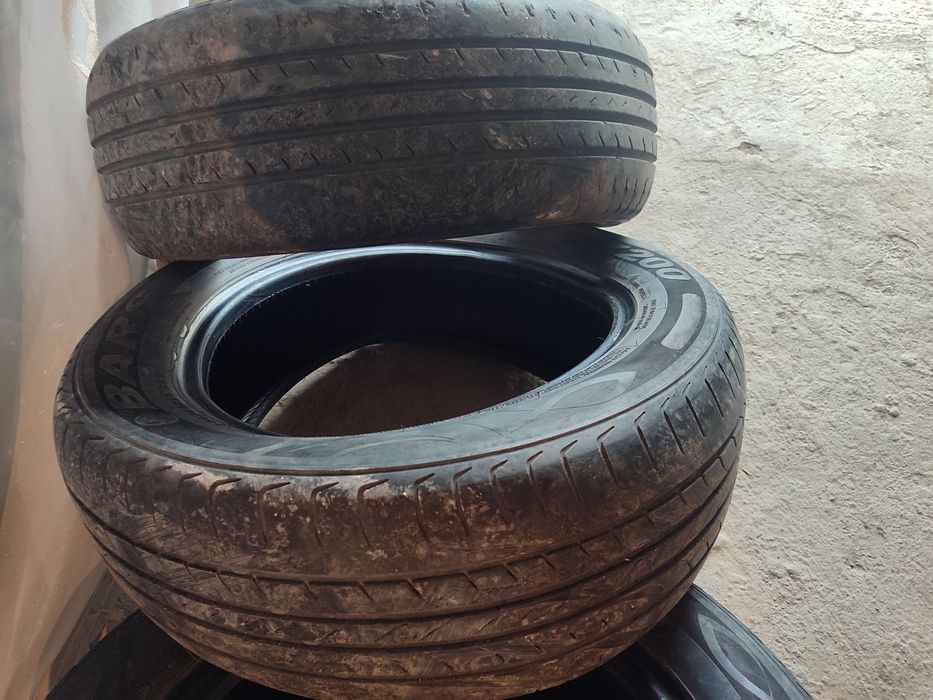 Shinalar 50 ming soʻmdan