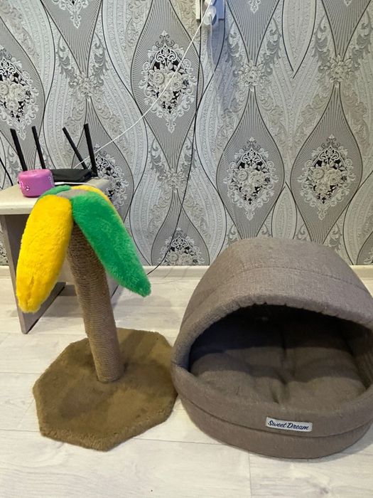 Когтеточка  дом с пальмой