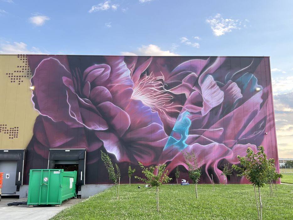Pictura pe pereti, pictura murala, graffiti