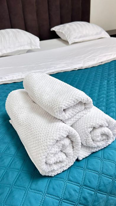 1,5 ЛЮКС посуточно