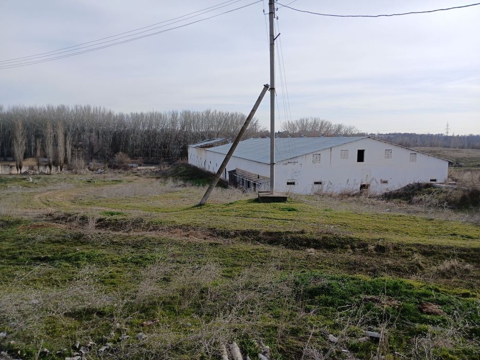 Выкуп. Срочно. 12 ГА территории