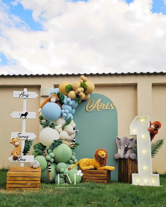 BALOANE Arcada Botez/Majorat/Nunta/Gender Reveal