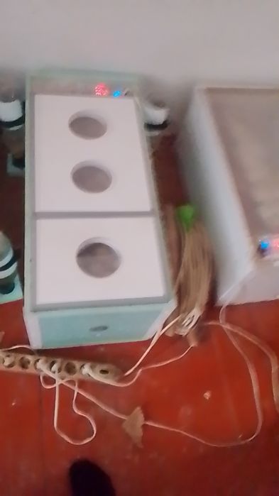 Инкубатор Вегс 90жұмыртқалық