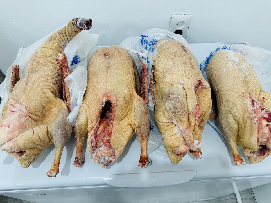 Продом мясо гуся