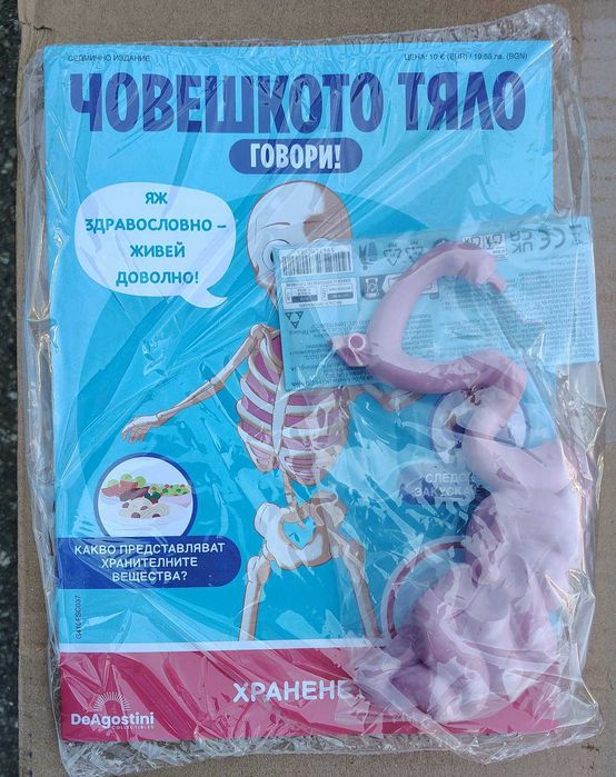 Човешкото тяло говори № 32 - 39