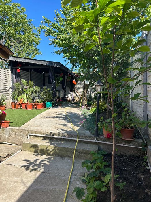 Casă P+M+SC Parc-Corneliu Coposu 2019