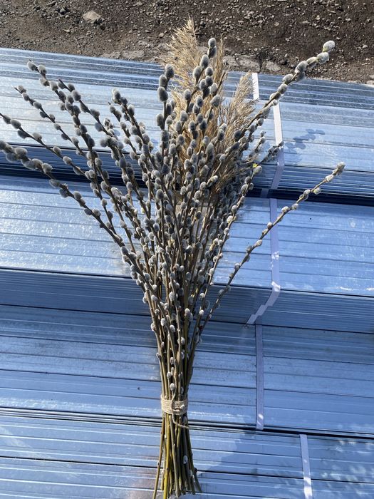 Цветы верба букеты