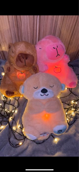 Дышащая Выдра Алматы