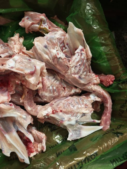 Пилешки фенер за кучета