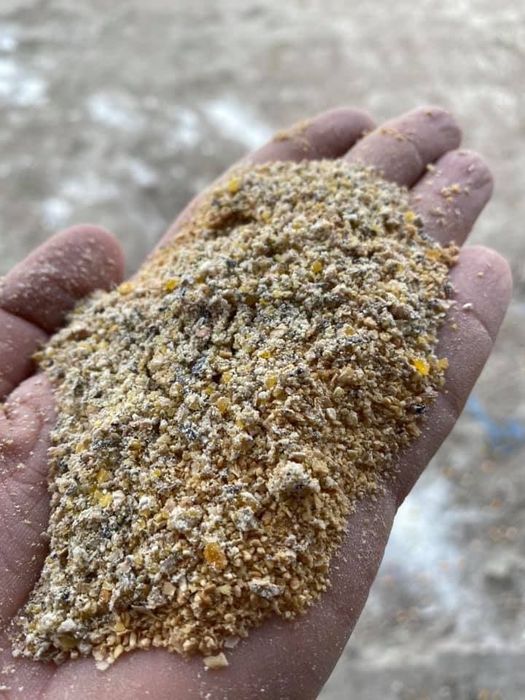 Furaje / Faina /uruiala vaci vitei miei oi porci pui scroafe purcei