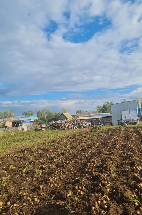 Продам дом  в сельской местности