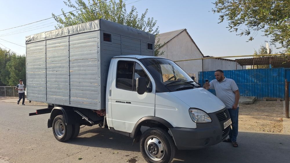 газел бартавой 2004 йил