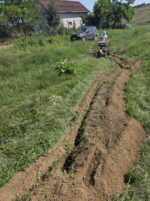 Execut santuri sapaturi irigatii miniexcavator trencher Roman Iasi BC