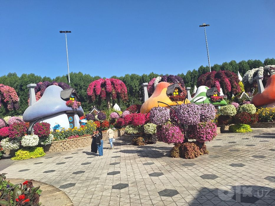 Саехат ва даромад