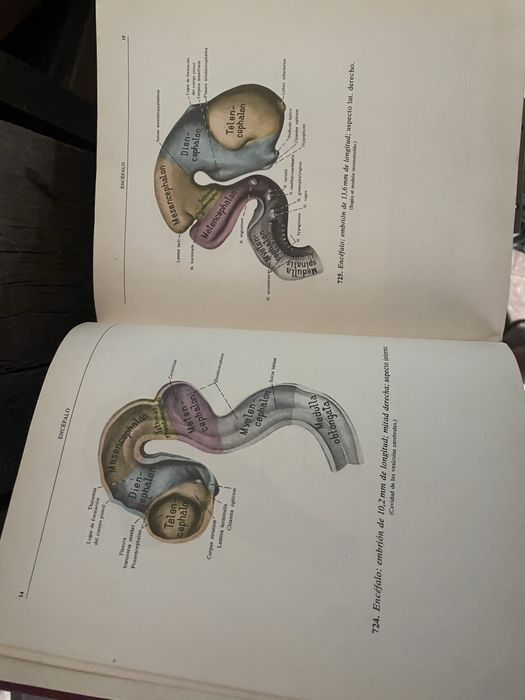 Carti Anatomia omului