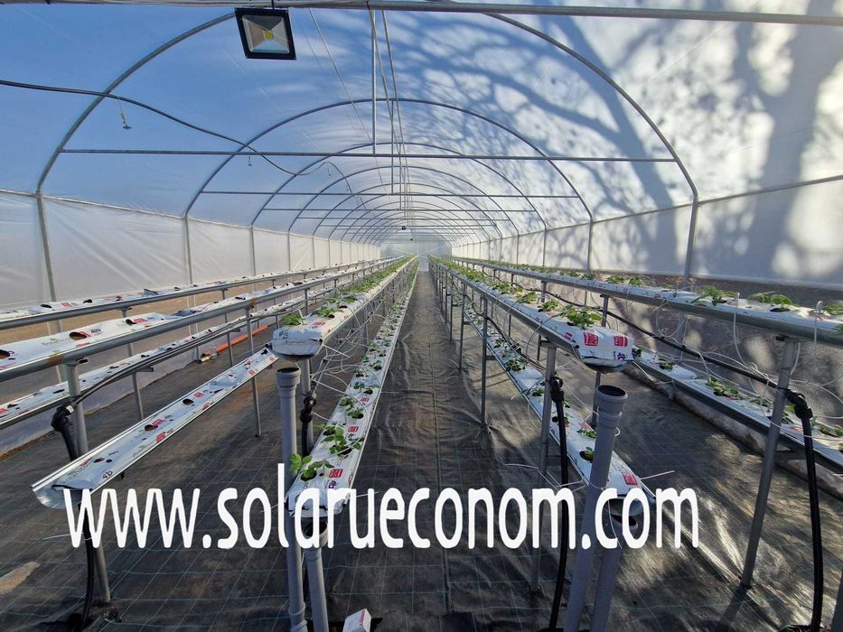 Investește într-un solar(sera) de gradina realizat din materiale bune