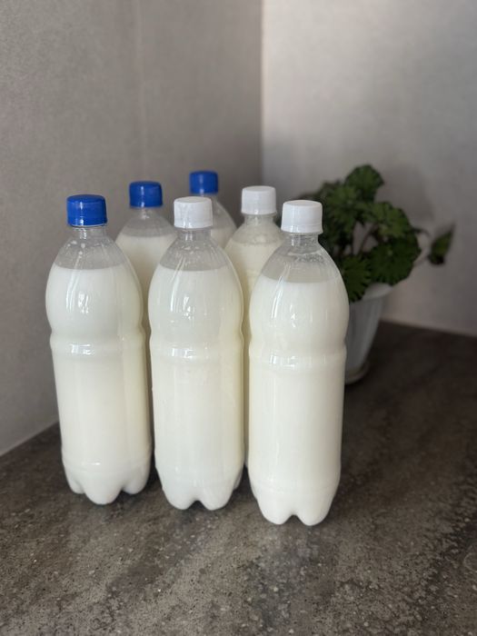 Продам кымыз натуральный