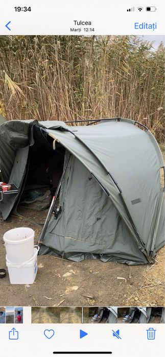 Cort fox royale euro dome 1 man