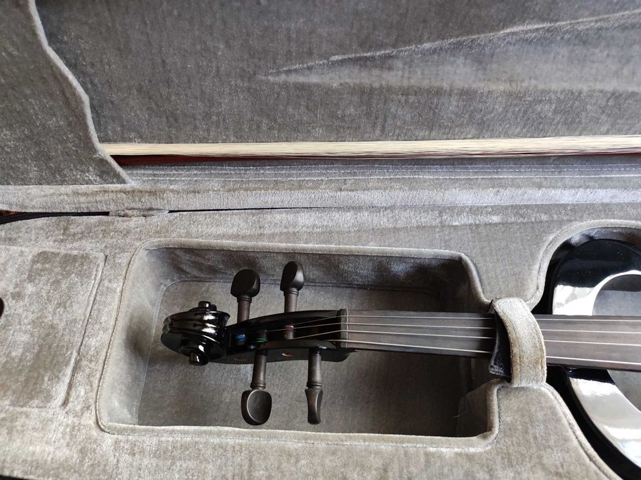 Електрическа Виола