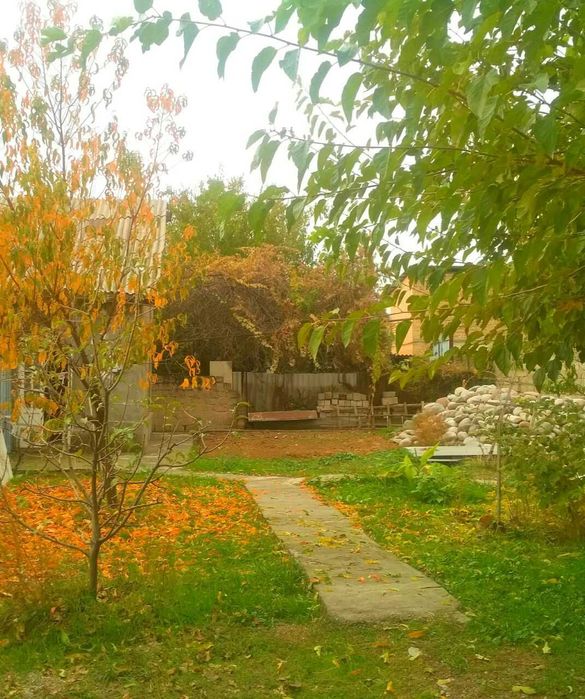 Участок 4 сотки КТО ХОЧЕТ СТРОИТЬ САМ Фасад 25 м. Кибрай  п.  2-линия